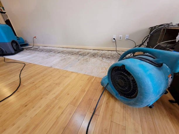 Reliable Basement Flood Cleanup contractor in Lucasville, OH by Hirex Water Damage