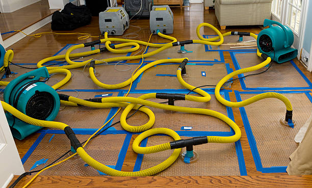 Professional Basement Flood Cleanup technician working in Lucasville, OH